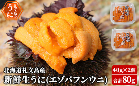 礼文産 新鮮生うに エゾバフンウニ 40g×2 うに