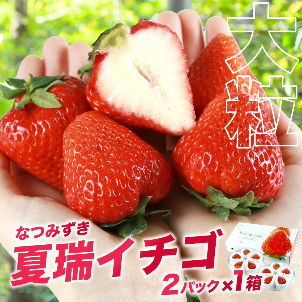 【ふるさと納税】2026年発送☆【夏イチゴ】奇跡のひと粒「夏瑞」2パックセット 東神楽ふるさと納税 北海道ふるさと納税 イチゴ 東神楽産いちご 【E102】 果物 フルーツ 苺 国産 北海道産 予約
