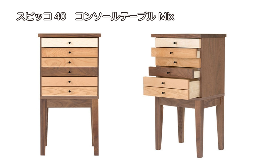 
レグナテック 諸富家具【スピッコ:40】コンソールテーブル Mix

