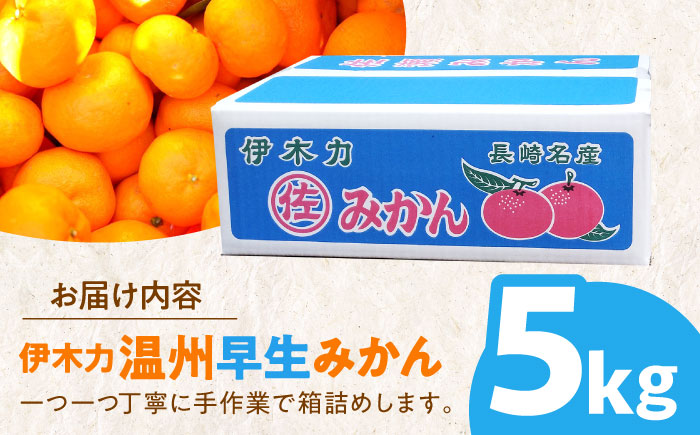 ※【2026年11月より順次発送／先行予約】伊木力温州早生みかん5kg(ご家庭用、箱入り) / 伊木力 温州みかん みかん ミカン 蜜柑 佐瀬 諫早 多良見 長崎 早生　/ 末永果樹園 [AHBD00