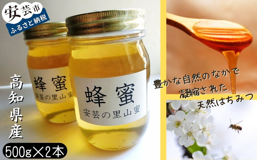 安芸の里山蜜　500g×2本セット