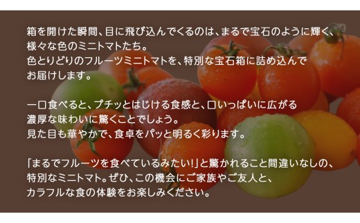 カラフル ミニトマト の宝石箱 18粒【2027年1月上旬発送開始】(茨城県共通返礼品：大子町) 野菜 フルーツ 旬 季節限定 期間限定