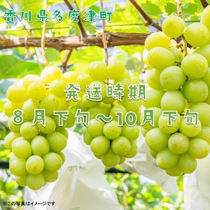シャインマスカット 2kg【令和6年8月下旬発送!予約受付中】【C-15】