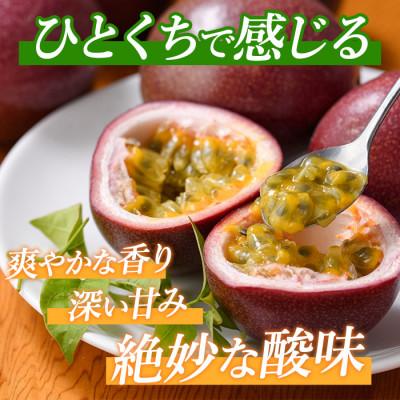 ふるさと納税 指宿市 【2026年 発送】【訳あり】パッションフルーツ 18〜20玉(010-1665) |  | 02