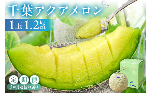 【定期便】【TVで紹介！】千葉アクアメロン1玉（1.2Kg）【3か月連続お届け】 mi0018-0004 メロン 青肉 ギフト 贈答 プレゼント フルーツ 果物