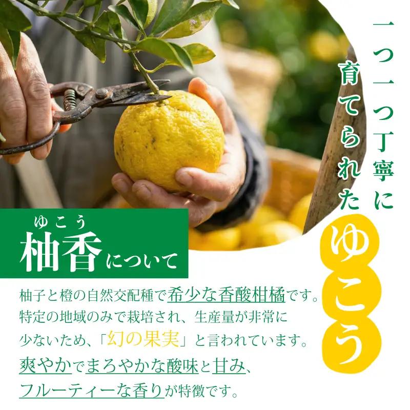 ゆこう ゆこう果汁 2本 有機 ゆこう
