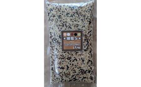 米 【雑穀5】 1kg×2袋 2kg 五穀米 佐賀県産 五つ星お米マイスター監修 食物繊維 キラリモチ ダイシモチ 雑穀ご飯 もち麦 黒米ご飯 黒米 玄米 お米 コメ こめ ※配送不可:離島