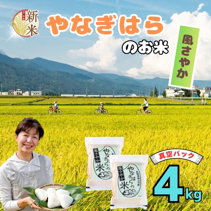 【先行予約】＜令和7年産新米＞特別栽培米 「やなぎはらの米 風さやか」4㎏（真空包装） (7-70)
