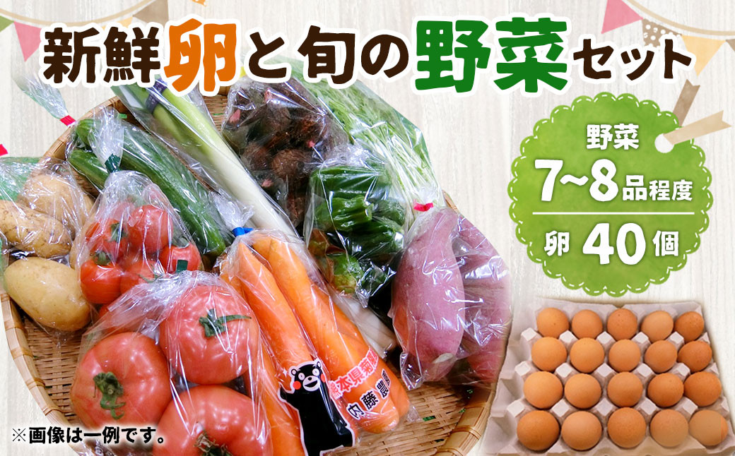 
新鮮 卵 と 旬の 野菜 セット (野菜7-8品程度＋40個) ／ たまご 生卵 タマゴ 詰合せ セット 熊本県 特産品
