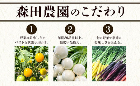 野菜 農家直送 新鮮 野菜 セット ラージサイズ 11～13品 《60日以内に出荷予定(土日祝除く)》 森田農園 青果物 やさい 千葉県 流山市