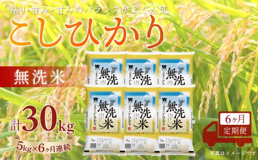 ＜6か月定期便＞ 千葉県産「コシヒカリ」無洗米 5kg×6か月連続 計30kg A075