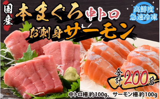 本まぐろ中とろ（柵）100gとお刺身サーモン（柵）100gセット 【マグロ クロマグロ トロ トラウトサーモン アトランティックサーモン 鮭 冷凍 国産 ノルウェー産 養殖】 [A-065052]