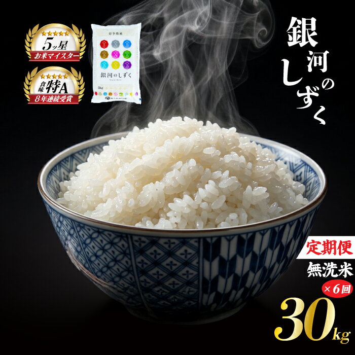 【ふるさと納税】 銀河のしずく 無洗米 30kg 5kg×6袋 米 定期便 6回 6ヶ月 連続 お届け 盛岡市産 いわて米 ブランド米 精米 白米 米 お米 こめ コメ ライス ご飯 ごはん 美味しい おすすめ贈り物 ぎんがのしずく 産地直送 盛岡 佐々木米穀店