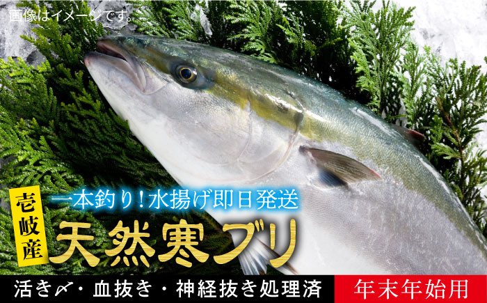 
※11/1-1/15配送【年末年始用】壱岐島産天然寒ブリ 37000 37000円
