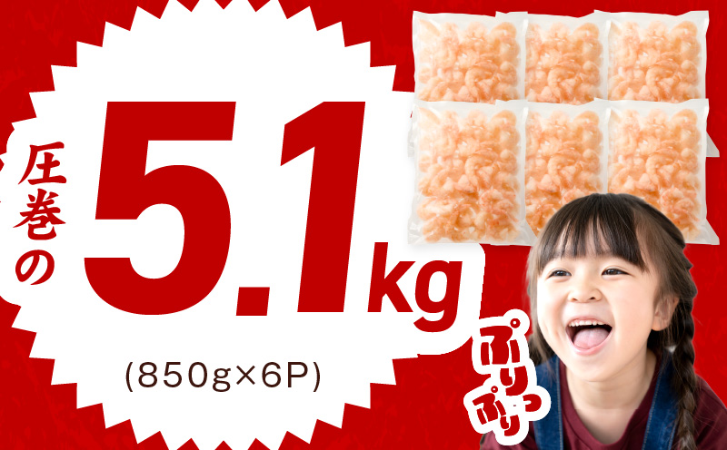 むきえび 総量 5.1kg 特大5Lサイズ【下処理不要 小分け 850g×6P 訳あり サイズ不揃い バナメイエビ バラ凍結】 kgp0105