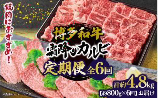 博多和牛 霜降りカルビ 全6回定期便 約800g×6回 肉 お肉 焼肉 牛 牛肉 和牛 バーベキュー BBQ 大容量