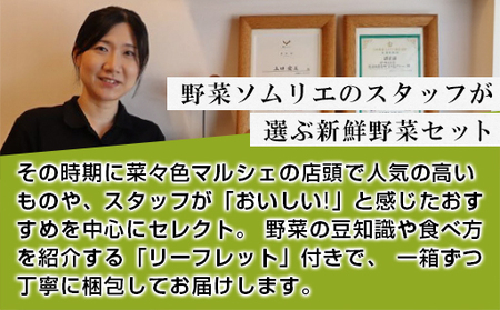 野菜ソムリエプロselect／萩・季節の食材定期便 隔月発送・3回コース