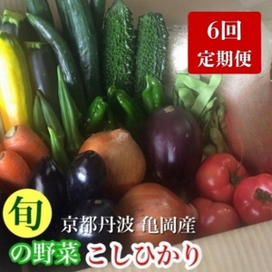 【6回定期便】野菜・米 詰め合わせ 野菜 野菜 野菜 野菜 野菜