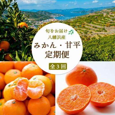 ふるさと納税 八幡浜市 【発送月固定定期便】【訳あり】愛媛みかん7kg×大玉8kg×甘平3kg 【H25-278】全3回