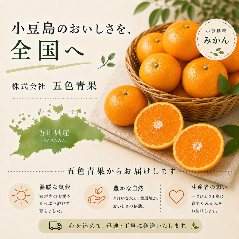 【 小豆島 】小豆島 みかん 約5kg　 果物類 柑橘類 フルーツ ミカン 蜜柑 