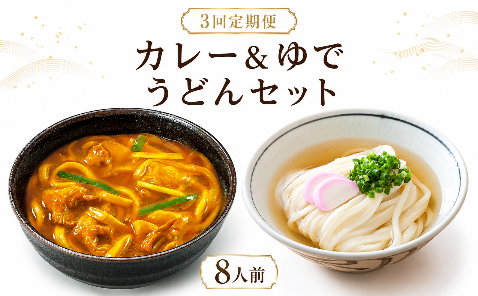 【定期便3回毎月】さぬきうどん ＆ コク旨 カレーうどん 詰め合わせ セット 8人前 定期便 ３回 ダシ付き スープ付き 宮武讃岐製麺所 丸亀からお届け 讃岐うどん 食べ比べ 麺 麺類 うどん カレー