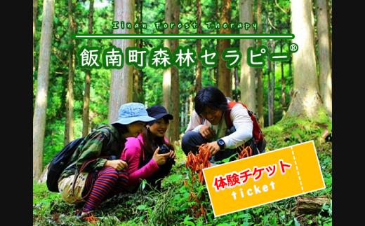 飯南町森林セラピー®チケット（１名～６名様分）【 島根県 飯南町 体験型 森林浴 セラピー 癒し リラックス効果 リラックス ストレス解消 リフレッシュ 心身 健康 増進 疾病予防 予防 ライフスタイル 見直し 改善 免疫力向上 せせらぎ 木漏れ日 観光 旅行 Ｂ-31】