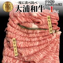 【ふるさと納税】★選べる配送月★大浦和牛すきやき・しゃぶセット（1kg）〈 牛肉 牛 和牛 国産 すき焼き しゃぶしゃぶ セット おすすめ ロース 赤身 美味しい 食べ比べ 選べる 選べる配送月 選べる発送月 〉