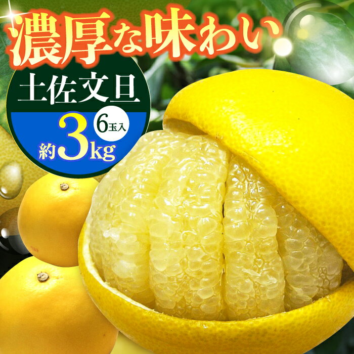 【ふるさと納税】【先行予約】南国高知温室土佐文旦 約3kg 6玉〈2025年11月中旬〜2026年2月中旬頃発送〉/ 文旦 ぶんたん フルーツ 果物 3キロ 高知県 【フルーツショップオザキ】[ATAH012]