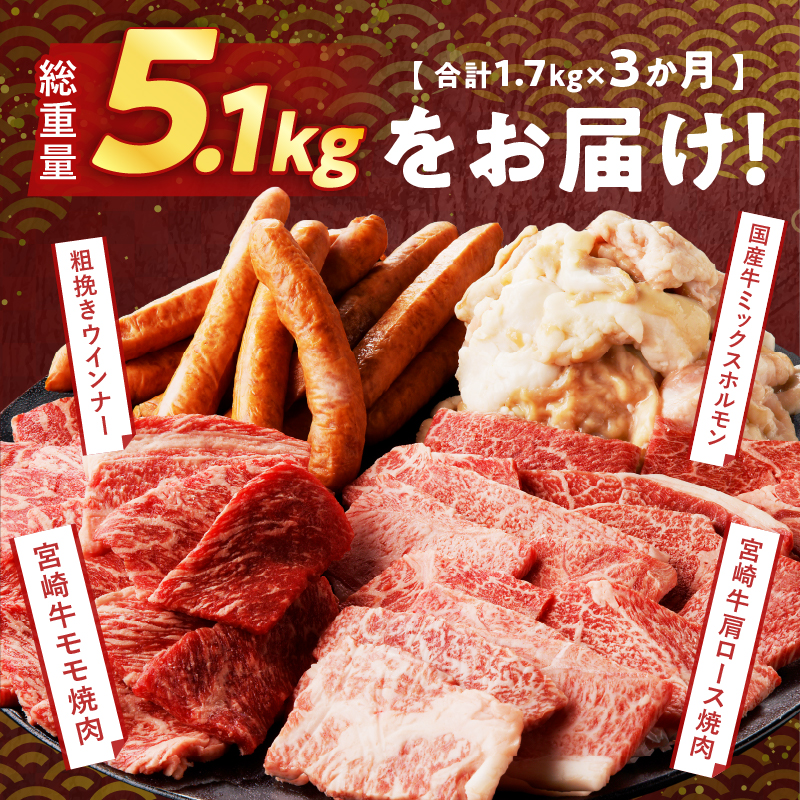 ≪3か月お楽しみ定期便≫ミヤチク焼肉三昧セット(総重量5.1kg) _T030-061【肉 牛 牛肉 豚肉 国産 人気 ギフト 食品 おかず 焼き肉 BBQ お土産 贈り物 送料無料 プレゼント】