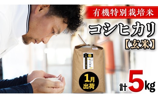令和8年産 ＜ 1月出荷 ＞ 玄米 5kg 三百年 続く農家 の 有機特別栽培米 コシヒカリ 有機栽培 農創 米 こめ コメ ごはん ご飯 精米 白米 国産 茨城県産 おいしい 新生活 プレゼント 新生活応援 必要なもの 便利 おすすめ 消耗品 一人暮らし 二人暮らし 必要