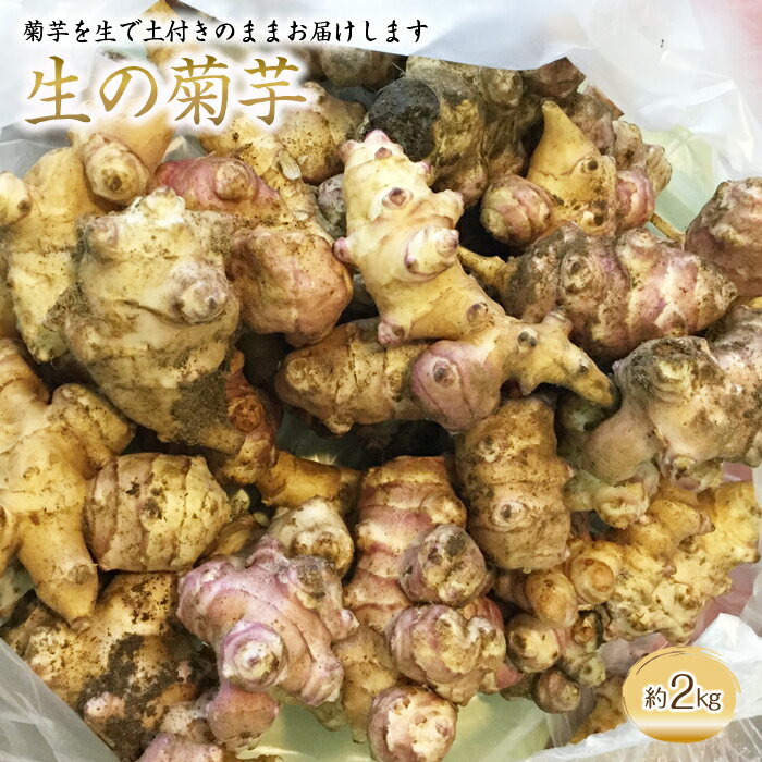 【ふるさと納税】 生 菊芋 2kg 《令和7年11月上旬～発送》 『漆山果樹園』 山形県 南陽市 [852]