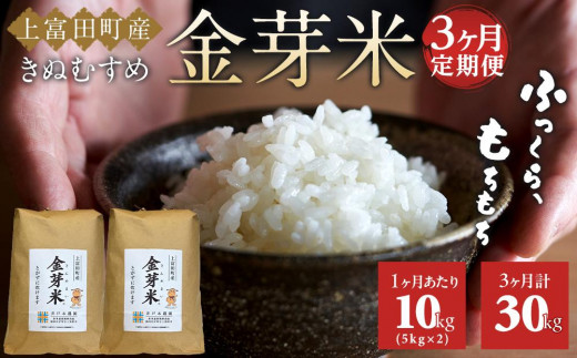 
                  【 定期便 】 令和7年産   上富田町産 金芽米 きぬむすめ 10kg × 3か月 井戸本農園
                
