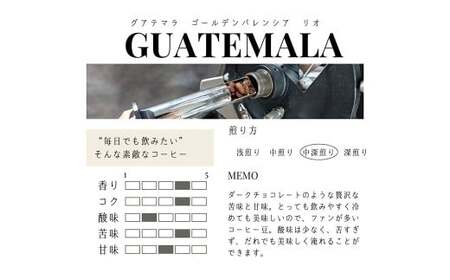 【粉】グアテマラ ゴールデンパレンシア リオ ウォッシュド ( 中深煎り ) 400g （200g×2） コーヒー 珈琲