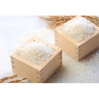 ふるさと納税 阿賀野市 【令和7年産】コシヒカリ　どーんと20kg!「米屋のこだわり阿賀野市産」 |  | 01