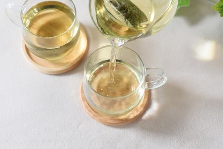 ＜バイオ茶(3g×20パック入)×100袋＞自家茶園の茶葉100％のお茶をお楽しみください！【D-0804-km】【宮崎上水園】