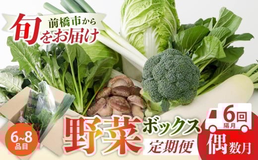 季節の野菜 詰め合わせセット 定期便（偶数月）| 野菜セット 新鮮 旬野菜 朝どれ 農家直送 旬 野菜 鮮度 赤城山麓 群馬野菜 国産野菜 詰め合わせ 野菜詰合せ おまかせ野菜 野菜便 お取り寄せ 産直野菜 群馬県 前橋市