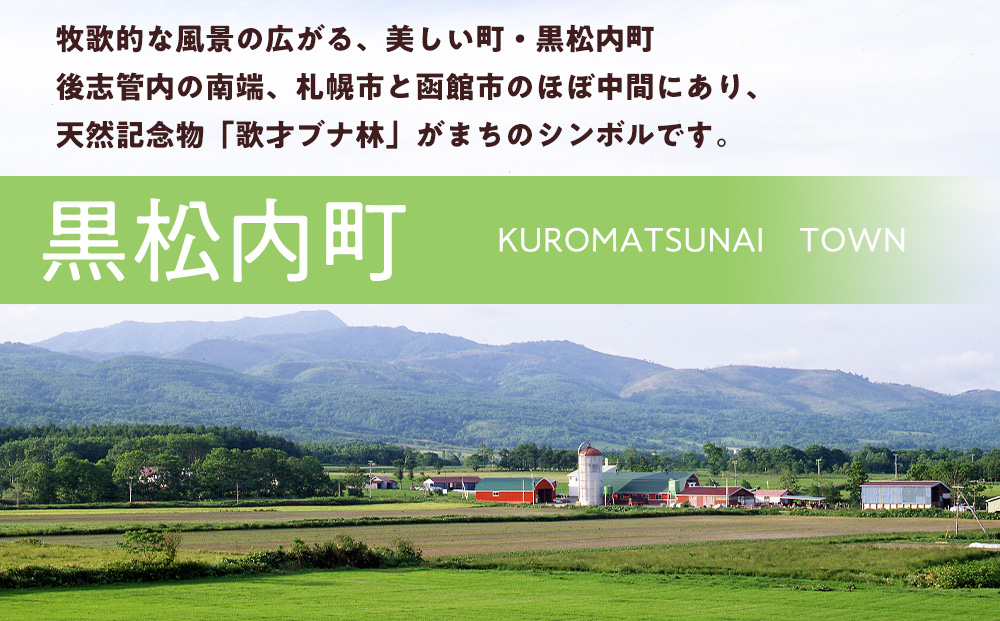 北海道 黒松内町☆応援寄付金☆【返礼品なし】10,000円分