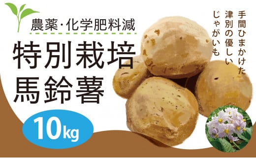 R7年産先行受付　じゃがいも　10kg　特別栽培（男爵）/008-13173-a01D