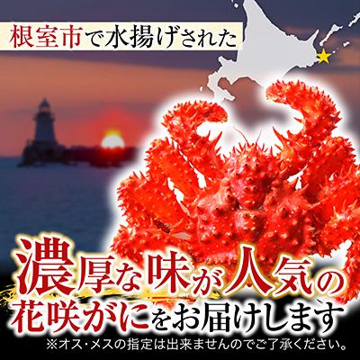 ふるさと納税 根室市 【北海道根室産】花咲かに350〜400g×3尾 G-19001 |  | 01
