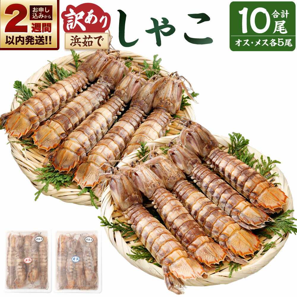 【ふるさと納税】【14営業日以内に発送】【訳あり】浜茹でしゃこ 合計10尾（オス5尾・メス5尾） 浜茹でシャコ 茹でシャコ しゃこ シャコ 蝦蛄 魚介類 海産物 水産物 冷凍 北海道産 国産 北海道 小樽市 送料無料