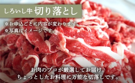 【牧場直送】【6回定期便】人気返礼品詰め合わせ！牛肉100%ふんわりロールステーキ 4個＆手ごねハンバーグ 4個＆しろいし牛 切り落とし 1000g【有限会社佐賀セントラル牧場】[IAH186]
