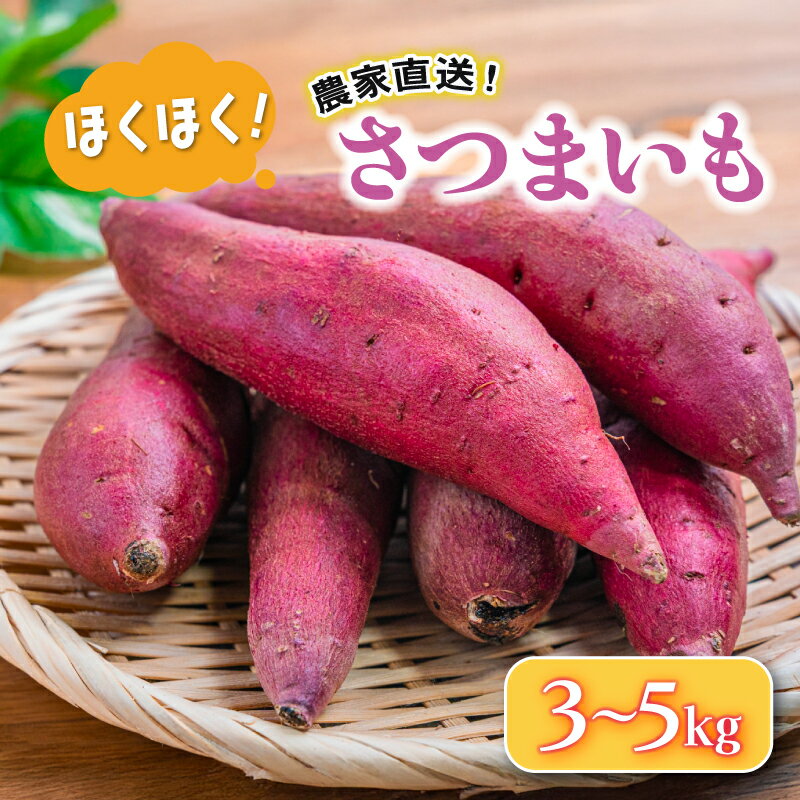 【ふるさと納税】 さつまいも 3 ~ 5 kg 野菜 サツマイモ 焼き芋 芋 鳴門金時 なると金時 ヤサイ やさい 焼き芋 大学芋 干し芋 スイートポテト 芋ご飯 スイーツ 期間限定 食材 新鮮 旬 産地直送 滋賀県 竜王町 送料無料 竜王産
