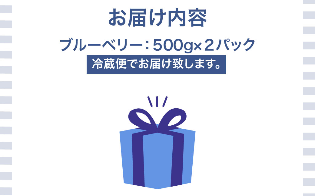 【先行予約】 令和8年7月下旬頃より発送  北海道七飯町産 生ブルーベリー 500g×2パック NAR001