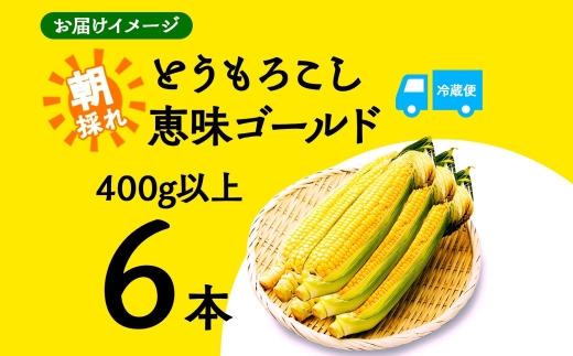 とうもろこし 恵味 ゴールド 400g以上 × 6本 高糖度 トウモロコシ スイートコーン 玉蜀黍 イエローコーン 黄 夏野菜 甘い ジューシー 野菜 おやつ 旬 産地直送 送料無料 湖南野菜出荷組合