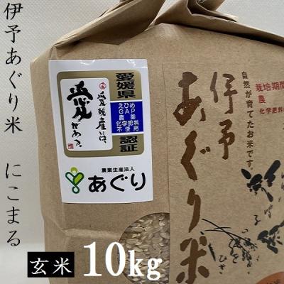 ふるさと納税 松前町 ★令和7年産発送★　伊予あぐり米「にこまる」(玄米10kg)