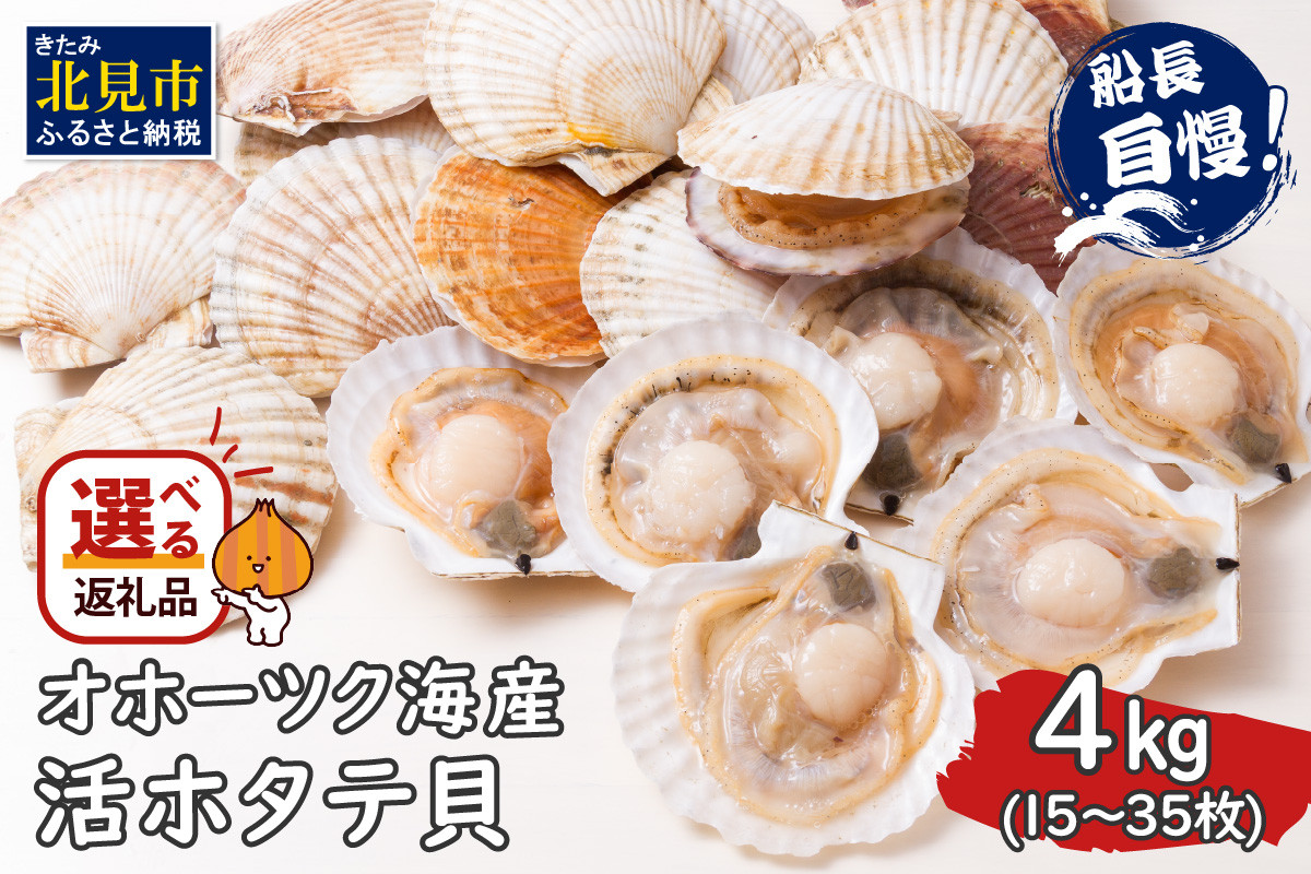 
                  【予約】とれたて新鮮！オホーツク海産 活ホタテ貝 4kg 15～35枚 ( 魚介 海鮮 貝 帆立 ほたて ホタテ 4キロ カレー シチュー 肉厚 )【114-0085-2026】
                