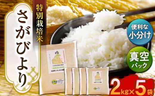 【特別栽培米！】令和7年産 新米 さがびより 白米 10kg（2kg×5） 武雄市橘産 /よしたか農園 [UCY003] 米 お米 こめ 白米 精米 ブランド米