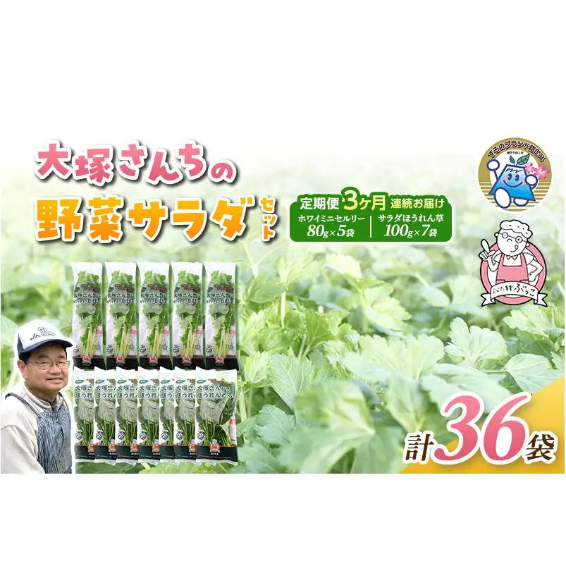 野菜詰合せ ホワイトミニセルリー サラダほうれん草 野菜詰合せ【セルリー5袋 ほうれん草7袋 計36袋】【定期便3ヶ月】