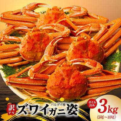 ふるさと納税 泉佐野市 バルダイ種 ズワイガニ姿 3kg(5〜10尾)ボイル済み  訳あり サイズ不揃い G3183
