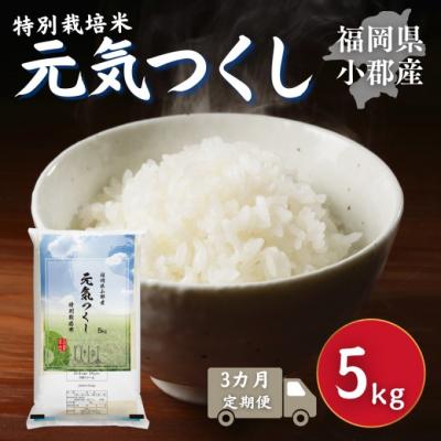 ふるさと納税 小郡市 定期便 3回 特別栽培米 福岡県 小郡産 元気つくし 5kg 米[No5354-2300]